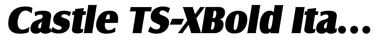 Castle TS-XBold Italic